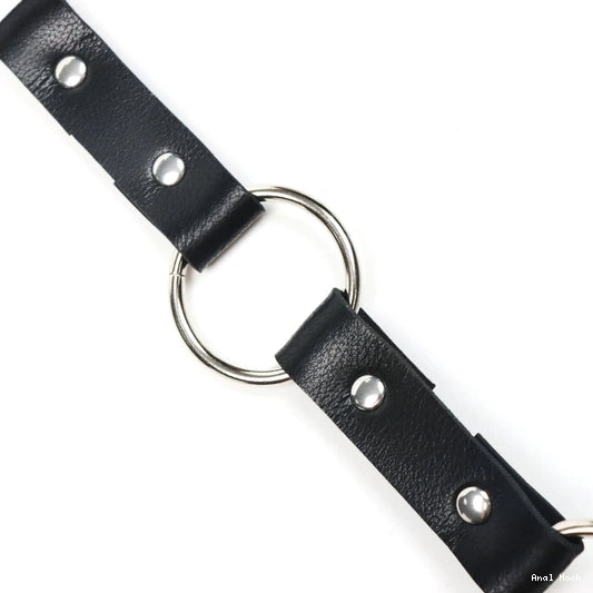 Leash EverydayUse with 5853 Kinky Collar Anal Hook and 0803